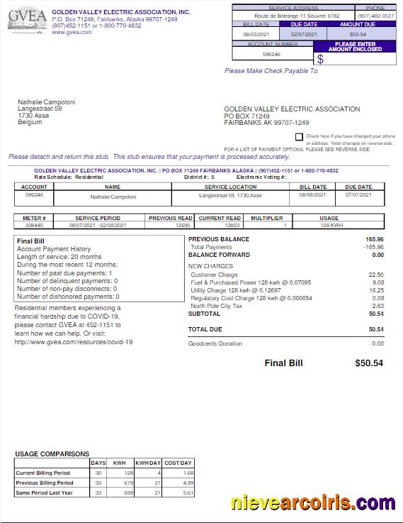 USA GVEA utility bill